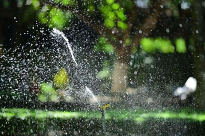 When Your Lawn Starts Complaining_ Catching Sprinkler Trouble Early